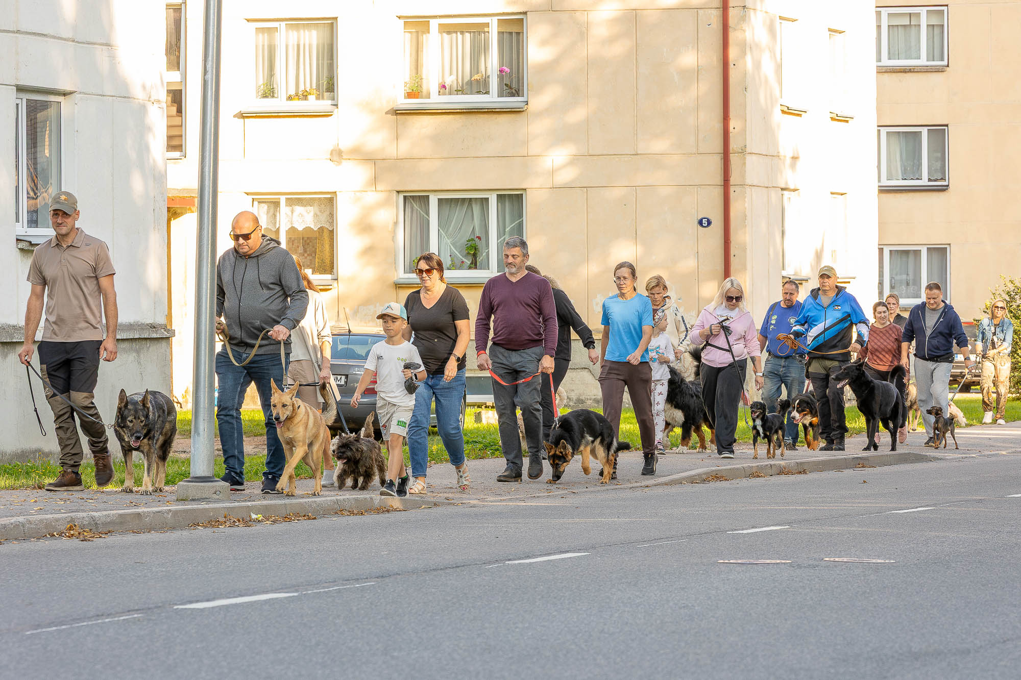 Ettevõtlikud koeraomanikud koerte koolitaja Elar Sariku eestvedamisel 26. augustil Võru linnas Lembitu tänaval ühisjalutuskäigul. FOTO: Aigar Nagel